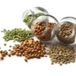 Lectins: little trouble makers