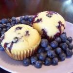 Cuckoo for Coconut Blueberry Muffins!?!
